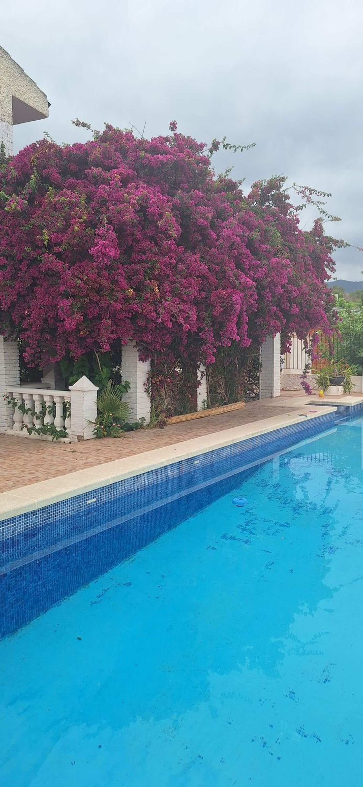 Casa o chalet independiente en Av vereda Real, 15 - Foto 33