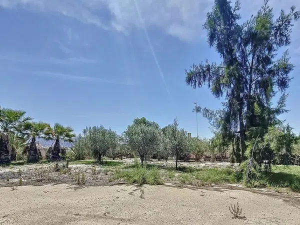 Casa rural en Cv-824, 270 - Foto 21