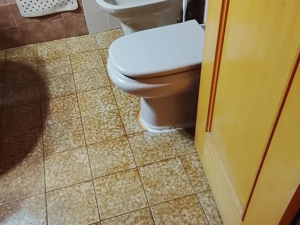 Piso en Avenida Castilla, 67, Allendeduero - Barrio de la Estación, Allendeduero - Barrio de la Estación - Foto 21