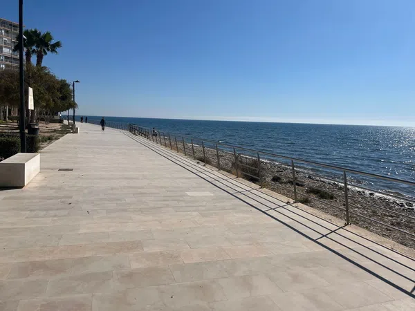 Piso en Camino de Fondo, 3, Playa Muchavista - Foto 30