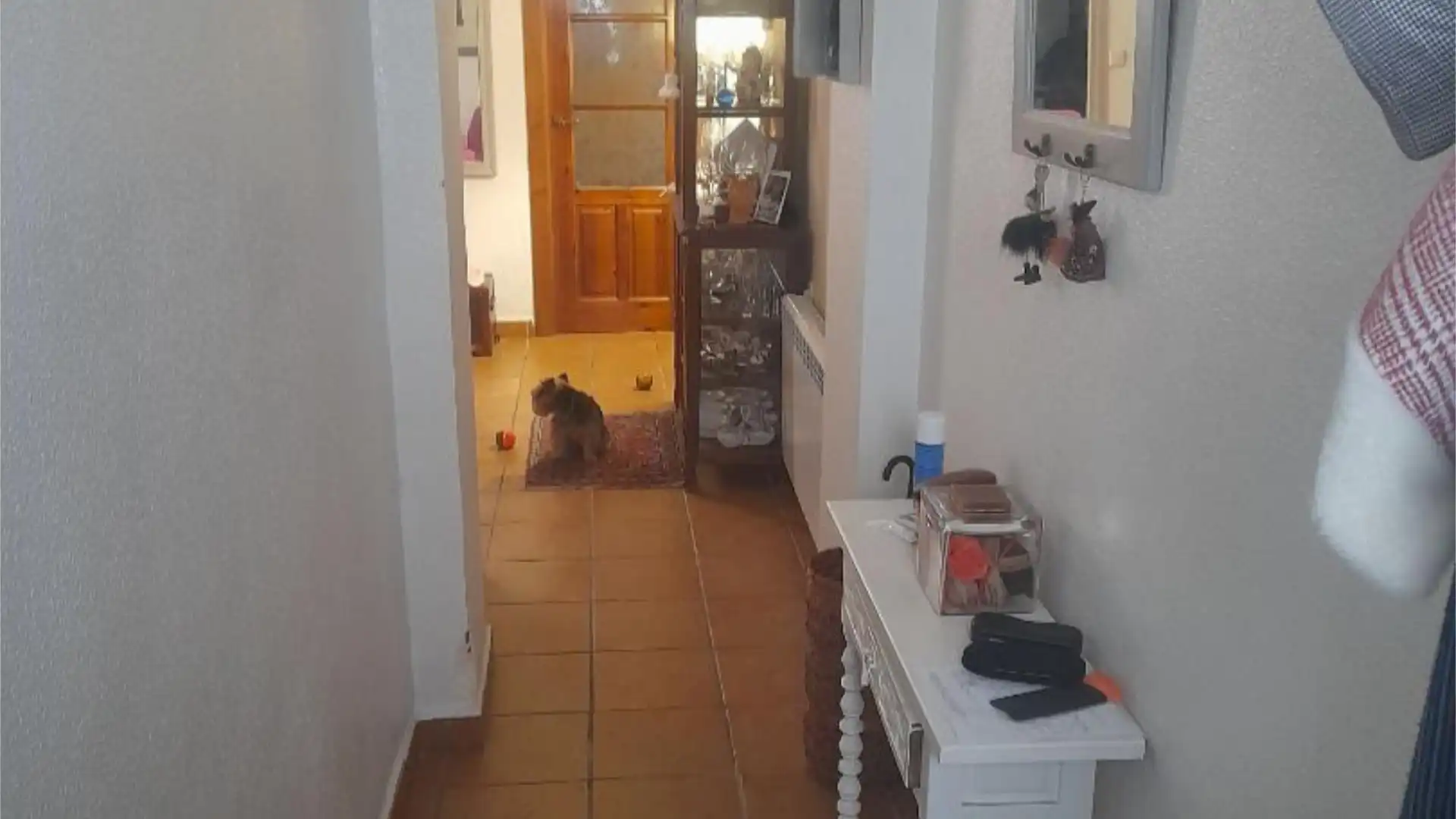 Piso en  Avenida de Juan Carlos I 20 - Foto 16