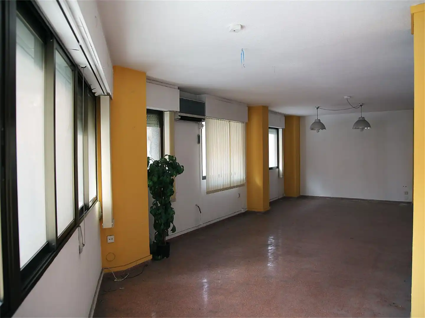 Planta baja en calle Calle José Reus García 1 - Foto 3