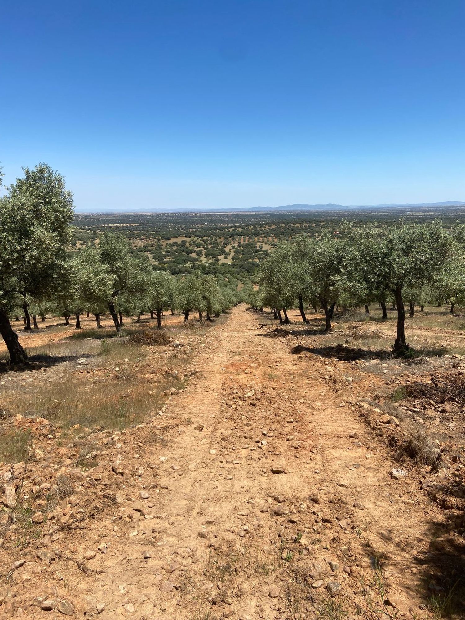 Cortijo en Cortijo en Carretera de Peñarroya a Villanueva del Duque s/n - Foto 3