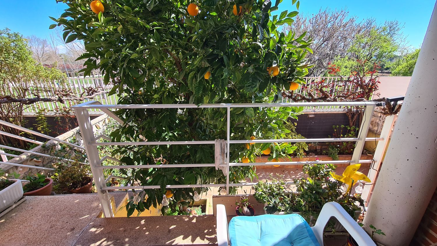 Chalet adosado en Calle José Zorrilla, 22 - Foto 8