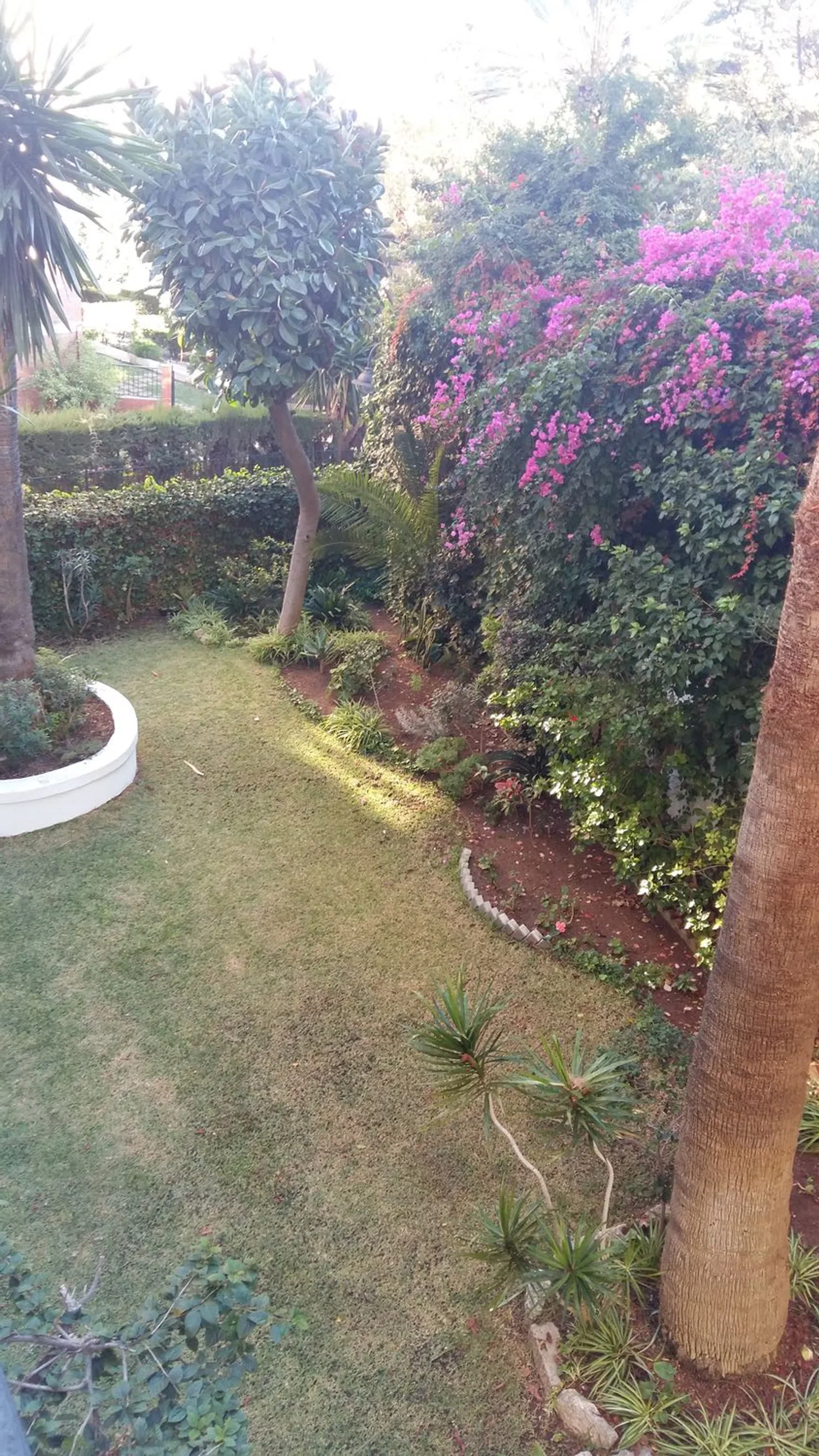 Piso en calle República Argentina, 29 - Foto 27