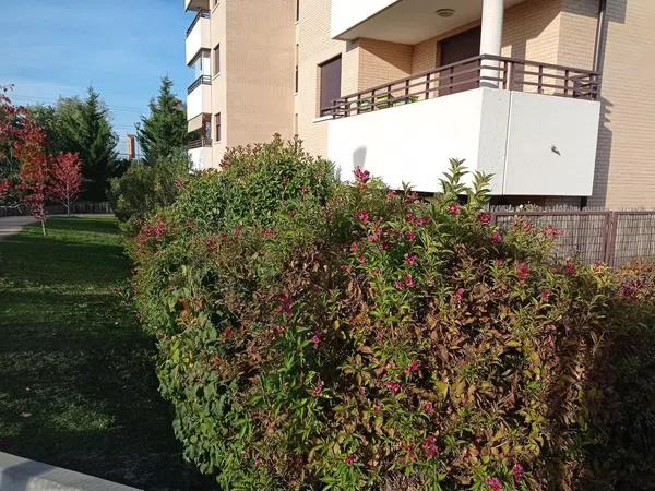 Piso en carretera de Húmera, 96 - Foto 7