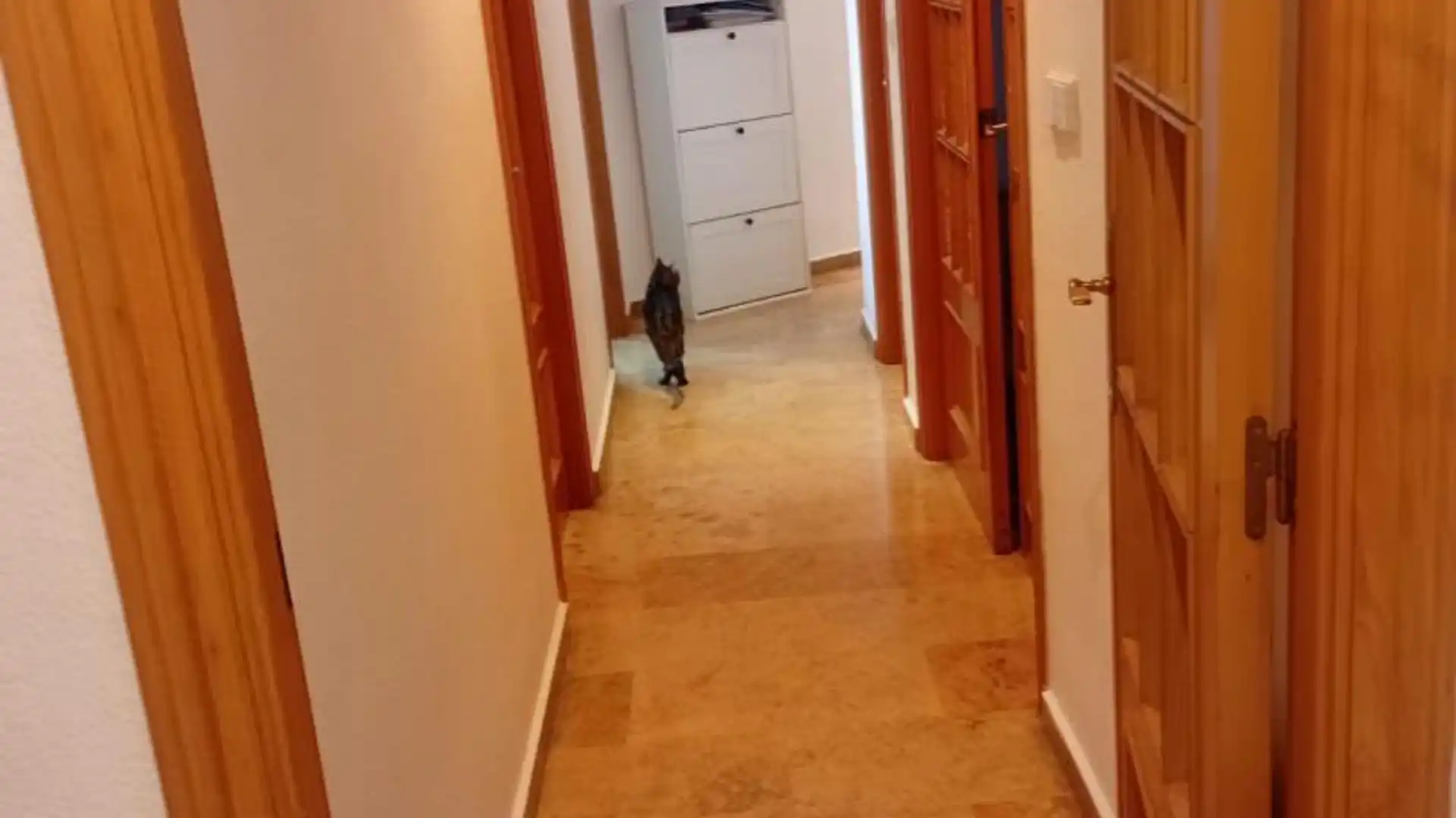 Piso en  Carrer de Fontanars dels Alforins 17 - Foto 10