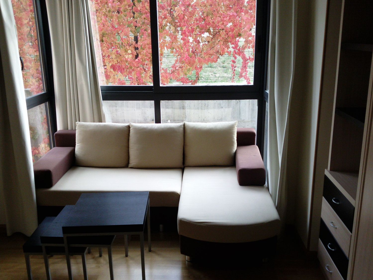 Alquiler de estudio en Calle Bausa, 8 - Foto 1