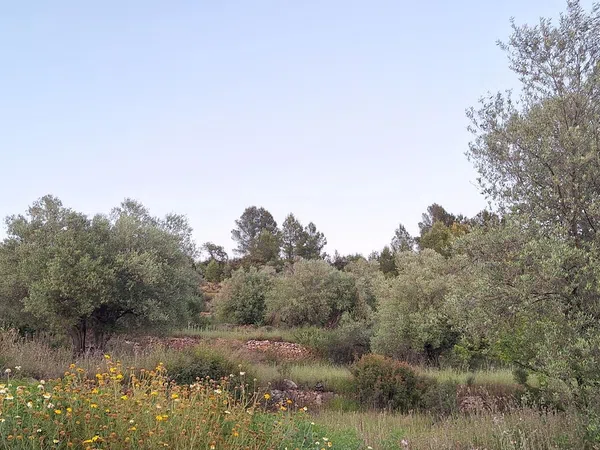 Masía en Masia, 1 - Foto 1