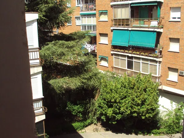 Piso en calle de las Margaritas, 15